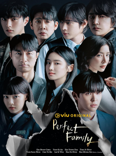Perfect Family streaming