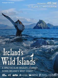 Ireland's Wild Islands streaming